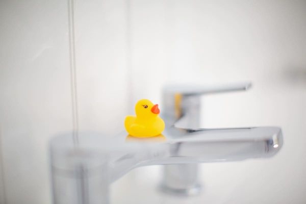 duck (Custom)